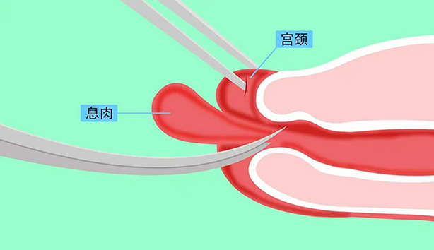 微信图片_20241111123731.jpg 微信图片_20241111123731.jpg