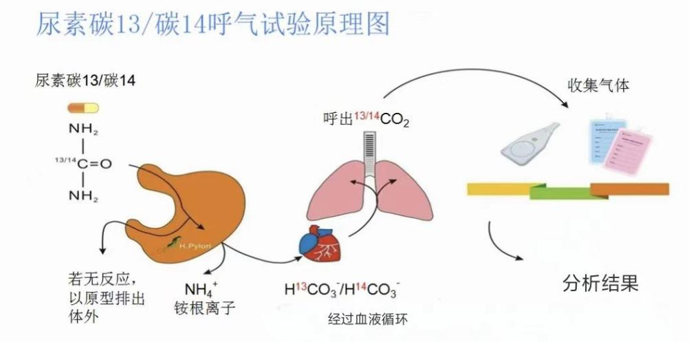 图片7.png 图片7.png