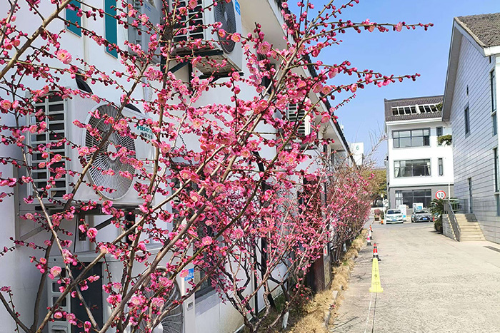 微信图片_20250227120804.jpg 微信图片_20250227120804.jpg